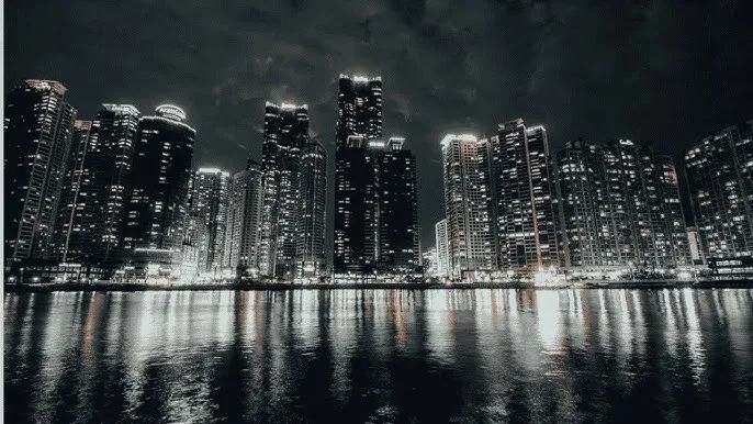 龙泽罗莎 - 城市之光：霓虹背后的人间烟火